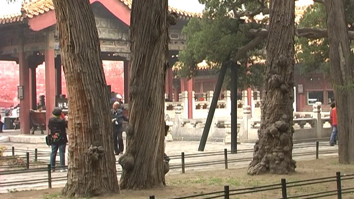 Imperial Garden