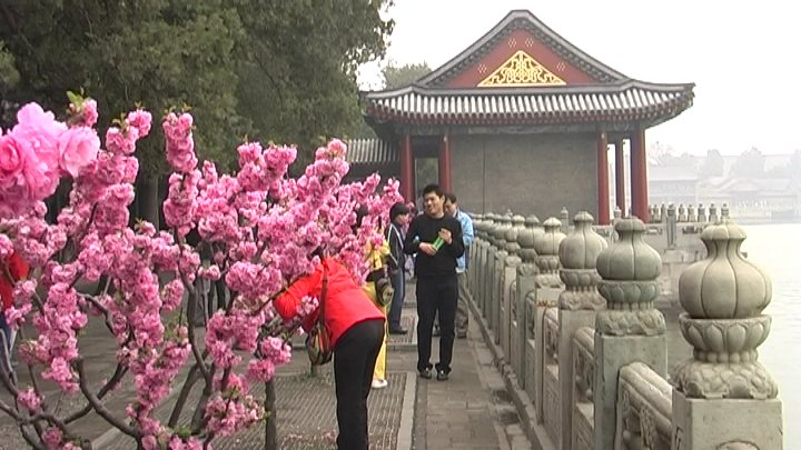Summer Palace