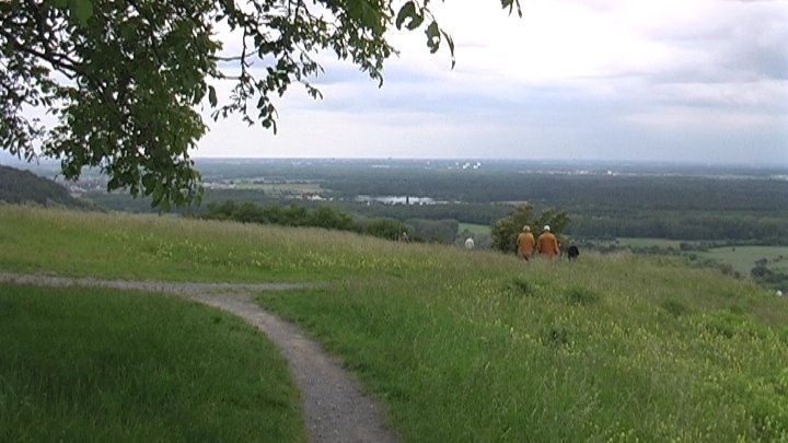 Rheinebene