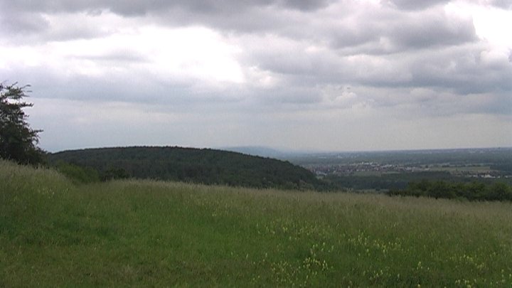 Turmberg